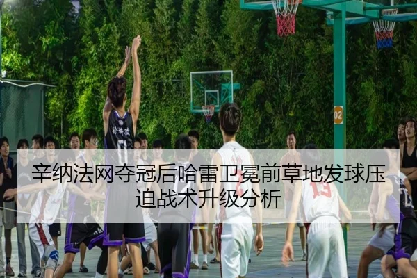 辛纳法网夺冠后哈雷卫冕前草地发球压迫战术升级分析（leyu）